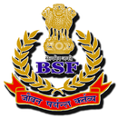 BSF PAY&GPF APK