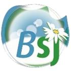ikon Blanchisserie BSJ