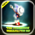 Hedgehog wallpaper HD