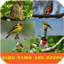 Bird Name And Sound APK