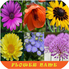 Icona Learn Flower Name