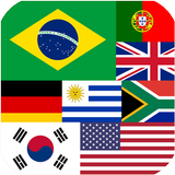 Flags of All Countries of the  icono