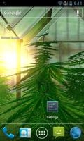 Weed 3D Live Wallpaper Affiche