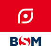 BSM IRT