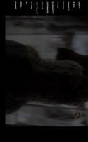 Libya TV قنوات ليبيا screenshot 1