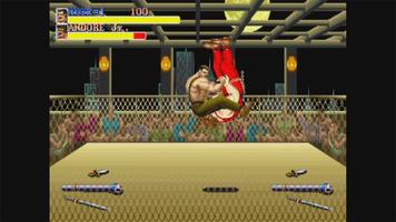 Final Fighters الملصق