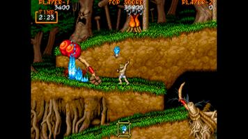 Ghouls'n Ghosts اسکرین شاٹ 2