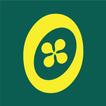 Wellness Forever Pharmacy App أيقونة