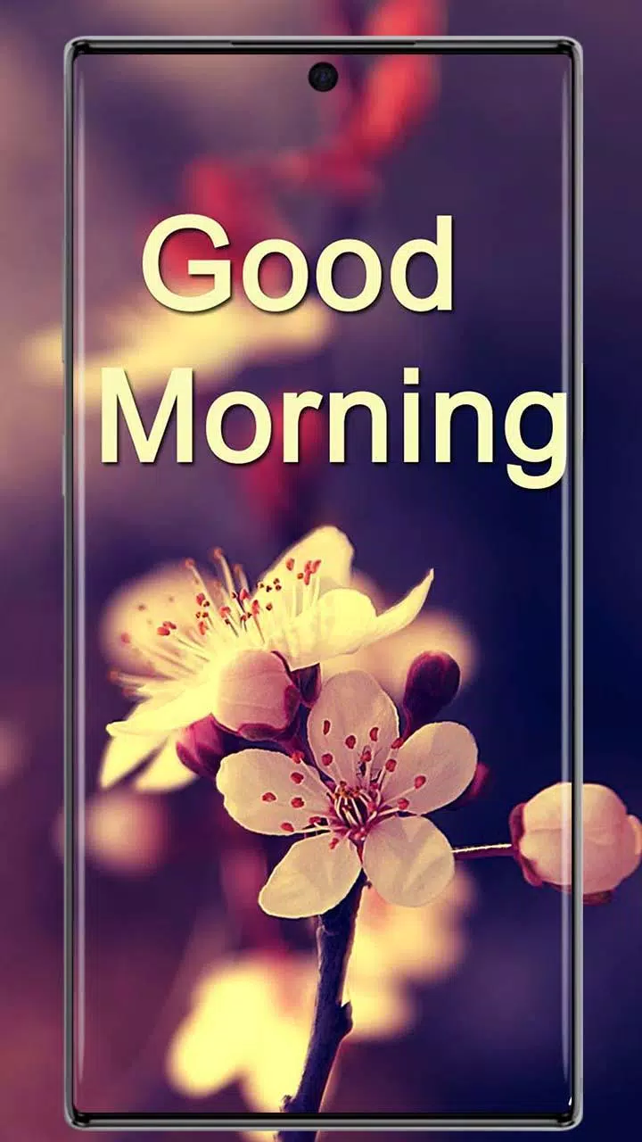 Good Morning HD Wallpaper 4K APK for Android Download