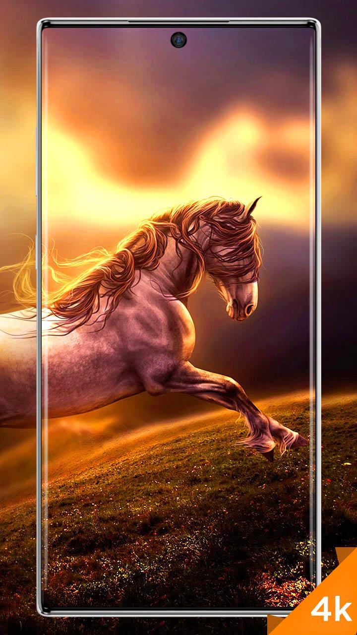 Horse HD 4K Wallpaper 🐴 APK (Android App) - Free Download Horse HD 4K Wallpaper 🐴 APK (Android App) - Free Download