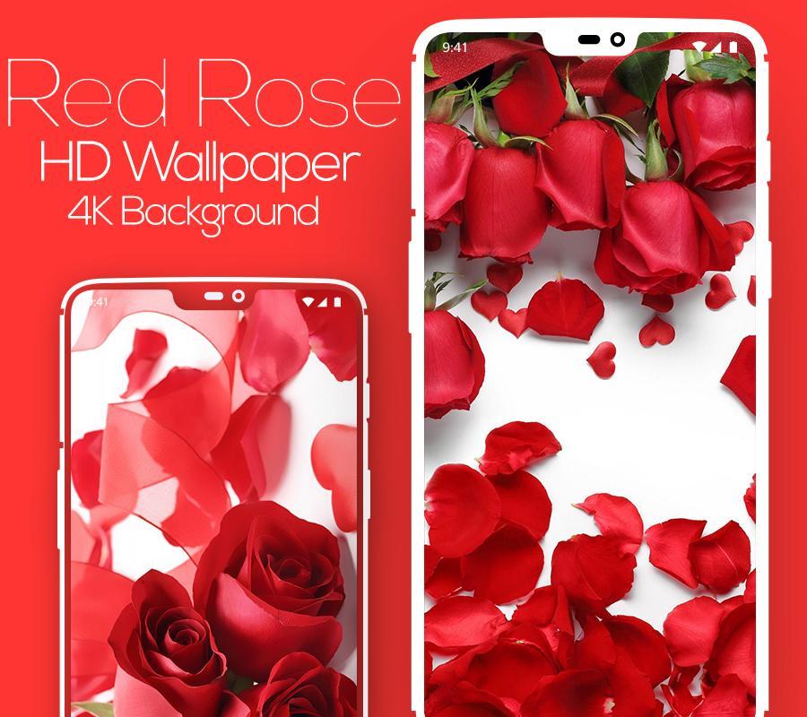 La red rose ✔$5000 OSCAR