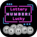 Numéros de Loterie APK