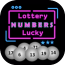 Lottery Numbers-APK