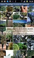 Guia d'arbres i arbredes poster