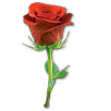 Bicara Tauhid Sufi APK
