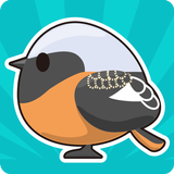 Tori Watch 2 - fluffy birds - icon