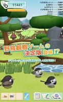 とりおっち bài đăng
