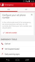 Pet First Aid 포스터