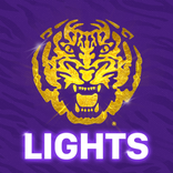LSU Tiger Lights
