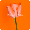Orange Aesthetic Wallpaper APK