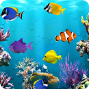 水族館の魚のライブ壁紙 APK