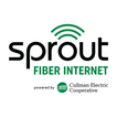 Sprout Fiber Internet