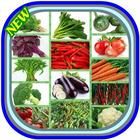 cultivation of vegetables icon