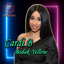 Collection of popular song lyrics Cardi B aplikacja