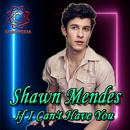 Lyrics of Shawn Mendes's full album song APK