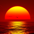 Relax Natural Sounds-APK