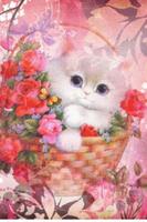 Cat In Floral Basket Live Wall Affiche