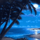 Caribbean Sea Moonlight Live W APK