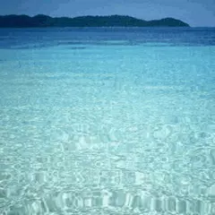 Clear Sea Live Wallpaper