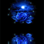 Blue Rose Reflected In Water L icône