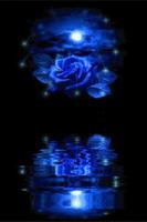 Blue Rose Reflected In Water L Affiche