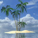 Palm In Tropical Island Live W APK