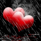 Icona Rain On Red Hearts Live Wallpa
