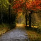 Rain In Autumn Live Wallpaper simgesi