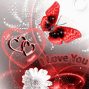 APK Red Butterfly White Flower Lov