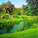 River In Green Scenary Live Wa APK