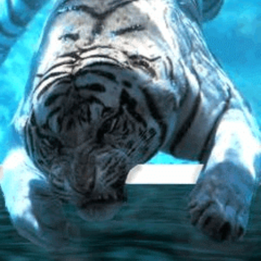 White Tiger under Water Wallpa