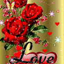APK Yellow Butterfly Red Rose Live