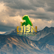 QBN App
