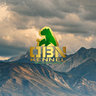QBN App ikona