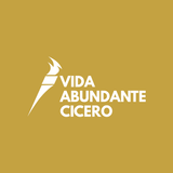 vidaabu icon