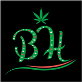 Budhub icon