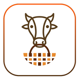 CaraFood APK