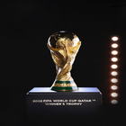 Fifa World Cup 2022 icon