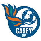 Casey Cup アイコン