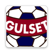 Gulsetcup